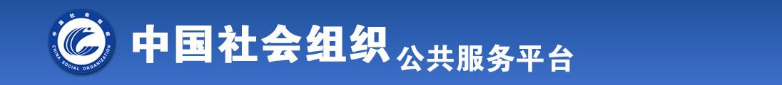 殴美逼插影院全国社会组织信息查询